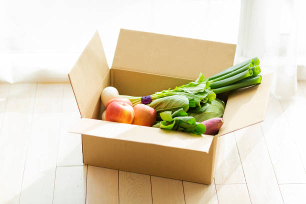 【生鲜学堂】怎样给蔬菜进行包装确保运输过程中不受损坏？插图